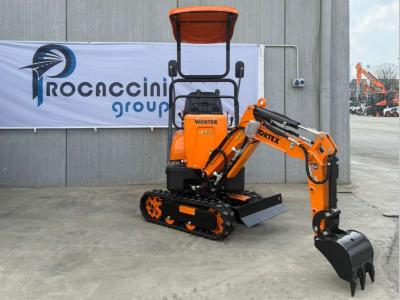 Wortex RAPTOR 600 vendida por Procaccini Group Nord