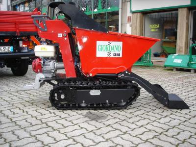 Gior 600 HONDA GX AUTOCARICANTE - PARI NUOVO - USATA SOLO 2 VOLTE vendida por Giordano Srl