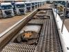 Renault PREMIUM 270 + MAGYAR 14000L+4COMP Foto 13 thumbnail