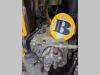 Volvo Hydraulic pump 14531300 for Volvo EC210C L, EC210C LD, EC210C LR... Foto 3 thumbnail
