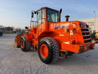 Fiat Hitachi W170 vendida por Skynet Srl