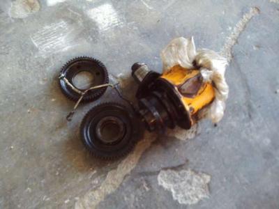 Engranaje de distribución para motore 8365.05 vendida por OLM 90 Srl