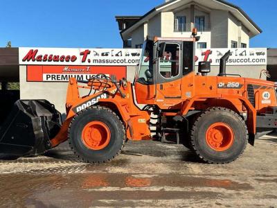 Doosan DL250 vendida por Massucco T. Srl