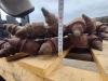 Simex PL4520 Foto 4 thumbnail