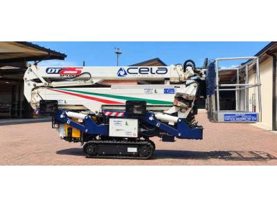 Cela DT Crawler 25 vendida por Centro Elevatori Srl