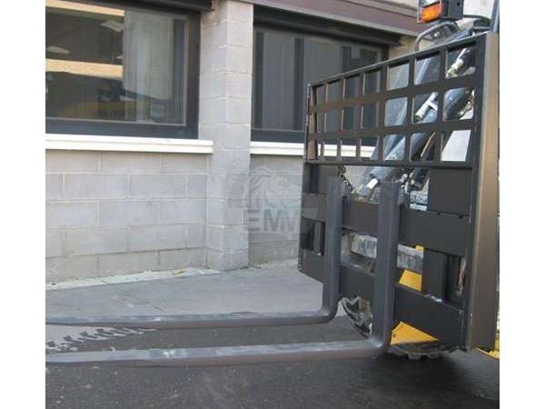 EMM Forca pallet 35 q.li Foto 1