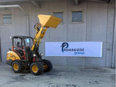 SDLG L902H vendida por Procaccini Group Sud