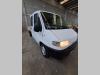 Ducato DUCATO Foto 7 thumbnail
