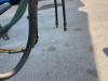 Zorzi 20R065 SCARRABILE Foto 8 thumbnail