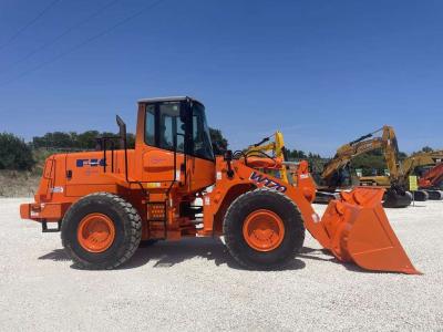 Fiat Hitachi W 170 Foto 1