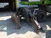 Sennebogen 835G Hybrid Foto 22 thumbnail