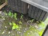 Iveco EUROCARGO CUBE 190-280L Foto 10 thumbnail