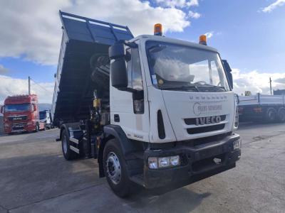 Iveco EUROCARGO 180E25 vendida por Procida Macchine S.r.l.