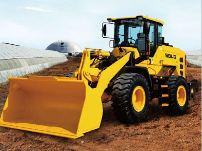 SDLG L938H vendida por Procaccini Group Sud
