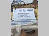 Lombardini Group 673 Foto 6 thumbnail