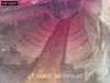 Renault T 520 6X4 Foto 13 thumbnail