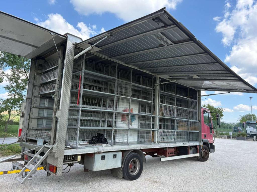 Iveco EUROCARGO 80E21 Foto 11