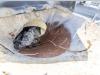 De Buf BETON MIXER/MALAXEUR/MISCHER 12M3 Foto 13 thumbnail