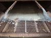 Powerscreen Chieftain 1800 - German Machine / Good Condition! Foto 23 thumbnail