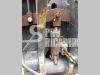 Leonardi Benne 60 Foto 9 thumbnail
