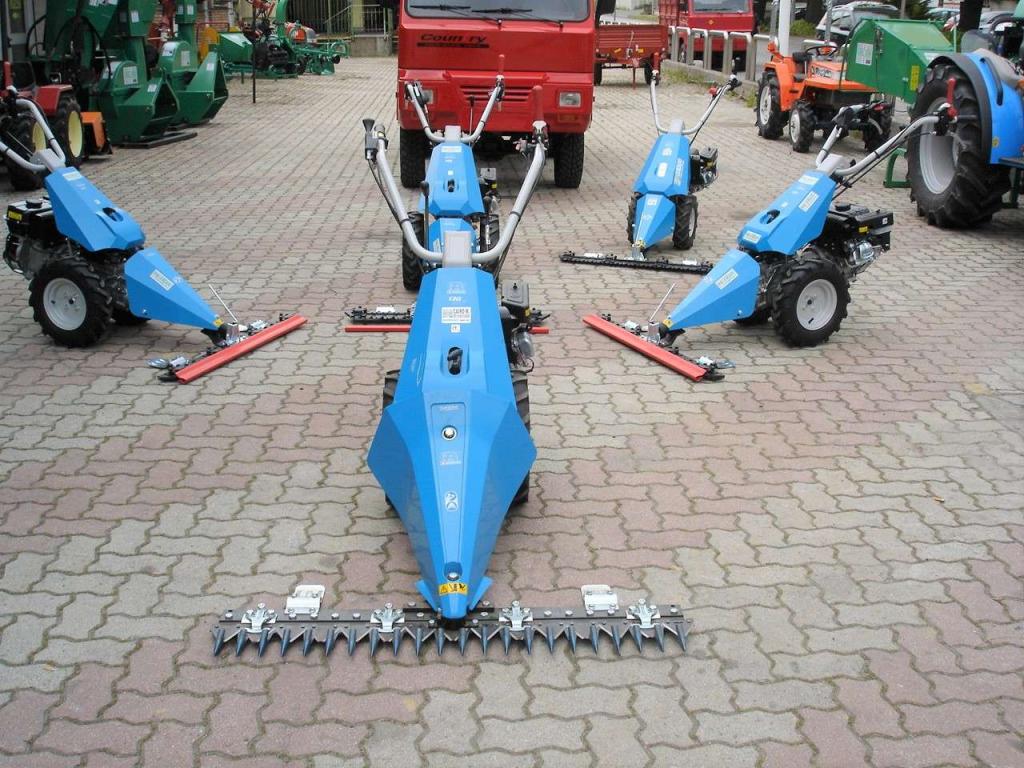 Bertolini 130 S - MOTORE EMAK BENZINA Foto 2