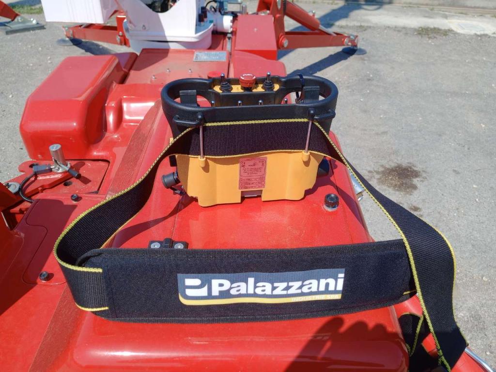 Palazzani TZX 250/C Foto 12