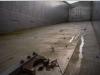 Wielton ALU - 52 M3 ( Grain/CEREALIERE) Foto 10 thumbnail