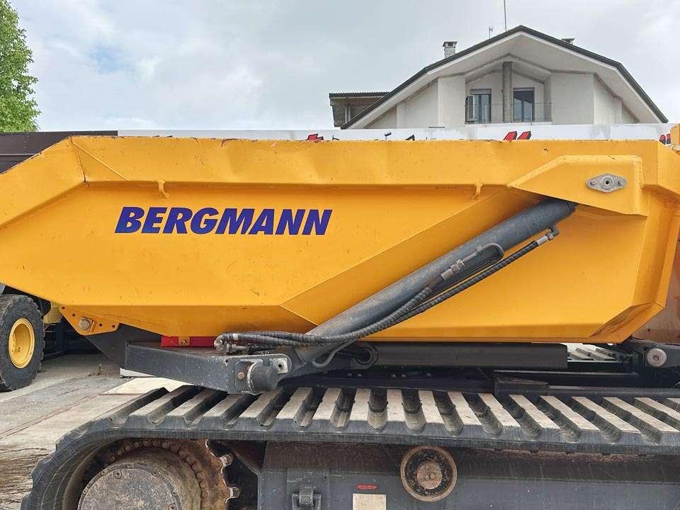 Bergmann 4010R Foto 6