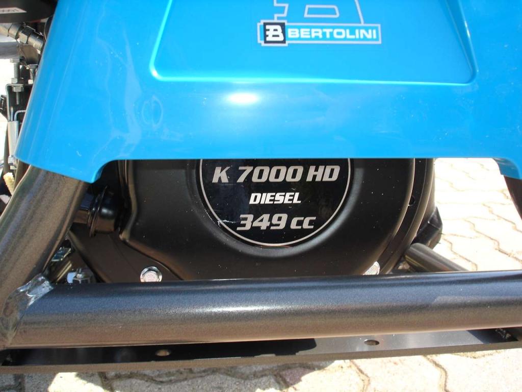 Bertolini 407 S - MOTORE EMAK DIESEL Foto 13