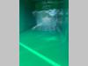 CONTAINER SCARRABILE NUOVO CON COPERCHIO Foto 5 thumbnail