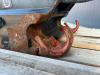 OilQuick OQ65 - 311F / 313F / 315F Foto 10 thumbnail