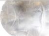 Feldbinder EUT 40.3- 40.000 L CEMENT/CIMENT/ZEMENT Foto 10 thumbnail