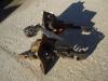 Macchinetta registro freni para Fiat Allis FL9 Foto 1 thumbnail