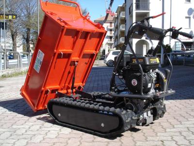 Gior 600 FORESTALE AGRICOLA - MOTORE ZANETTI vendida por Giordano Srl