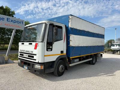 Iveco EUROCARGO 75E12 vendida por Bridge Export Srl