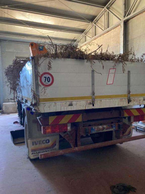 Iveco 150E24 Foto 4