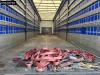 Krone SD 3 axles Anti Vandalism Sliding Roof Foto 10 thumbnail
