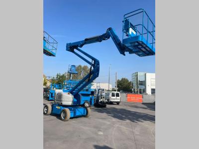 Genie Z45/25J BIENERGY vendida por Centro Usato Srl