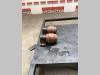 Rodillos superiores para Hitachi Zx135 US-7 Foto 2 thumbnail