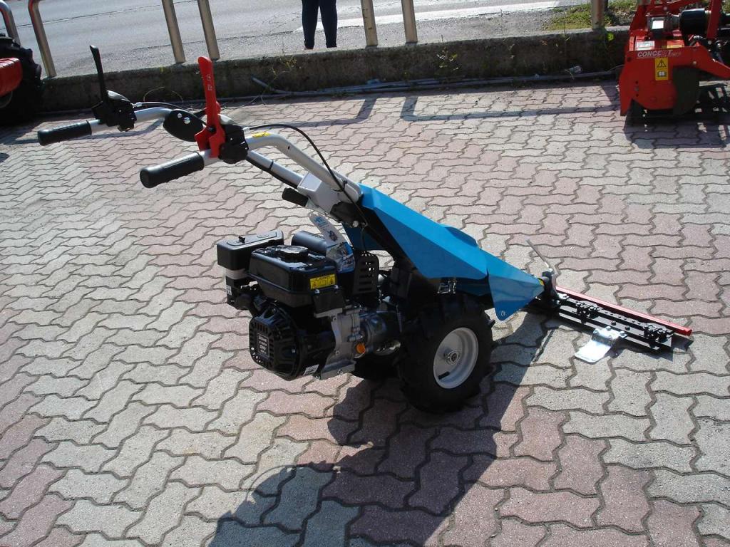 Bertolini 110 - MOTORE EMAK BENZINA Foto 19