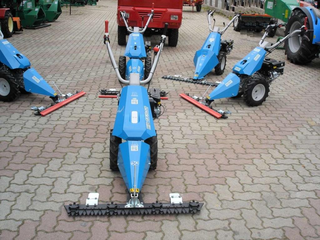 Bertolini 110 - MOTORE EMAK BENZINA Foto 2