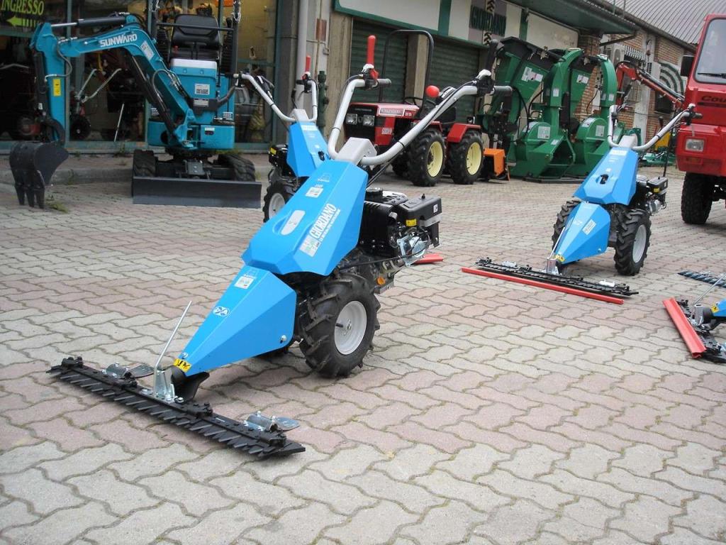 Bertolini 110 - MOTORE EMAK BENZINA Foto 4