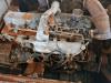 Fiat Kobelco EX235 Foto 5 thumbnail