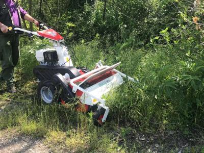 Tekna TT 65 - SUPER PROFESSIONALE - MOTORE HONDA GX 390 vendida por Giordano Srl