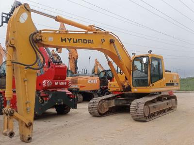 Hyundai Robex 290NLC-10 vendida por Iveco Orecchia Spa