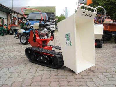 Tekna TT 300 DUMPER - MOTORE HONDA vendida por Giordano Srl