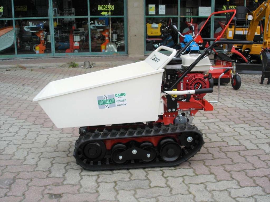 Tekna TT 300 DUMPER - MOTORE HONDA Foto 12