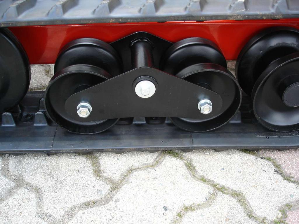 Tekna TT 300 DUMPER - MOTORE HONDA Foto 17
