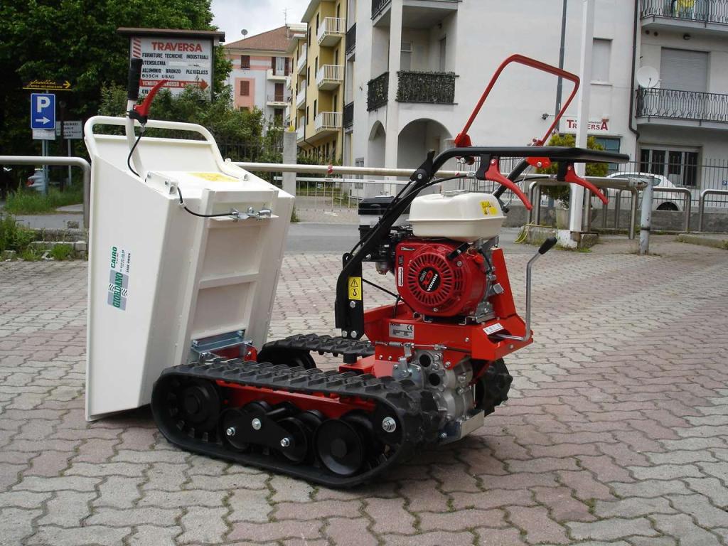 Tekna TT 300 DUMPER - MOTORE HONDA Foto 3