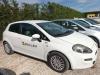 Fiat PUNTO Foto 1 thumbnail